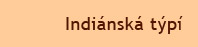 Indiánská týpí